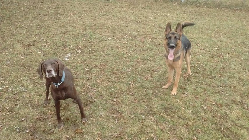 Throw It Already!